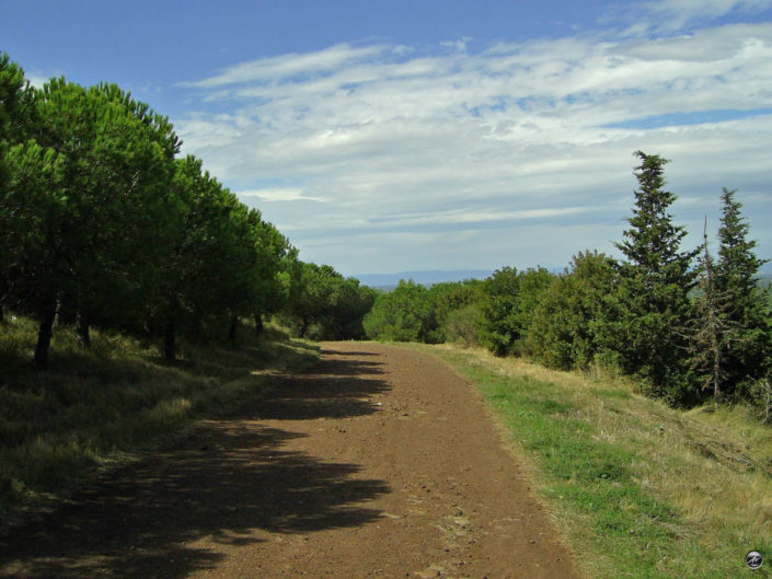Visite du volcan agathois  le “Mont Saint-Loup”