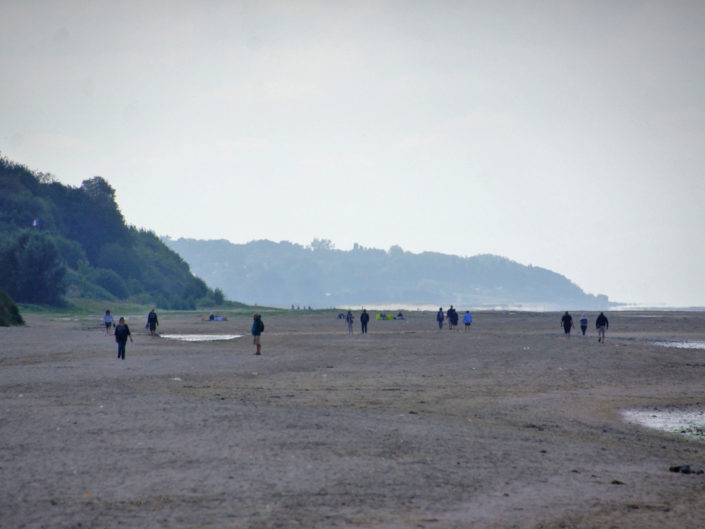 Visitons Honfleur (2/3)